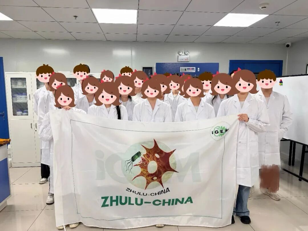 北京小分队线下合照 北京小分队线下合照