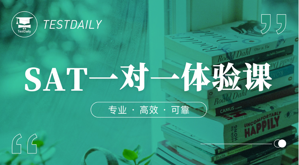 SAT一对一
